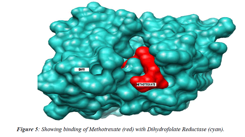 biomedres-Showing-binding