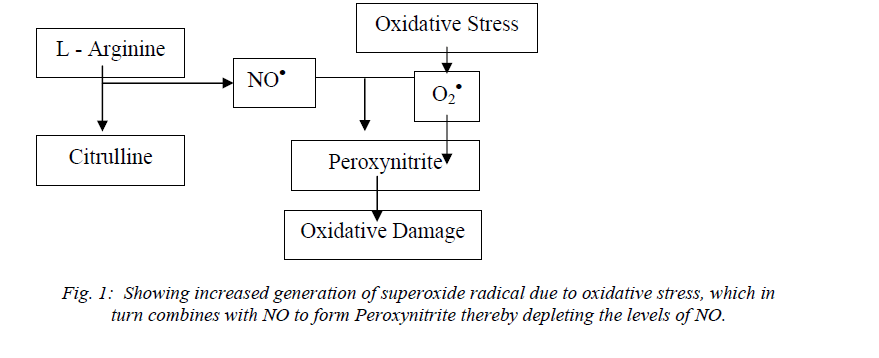 biomedres-Showing-increased-generation-superoxide-radical