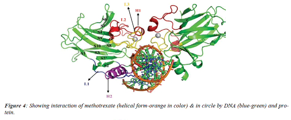 biomedres-Showing-interaction