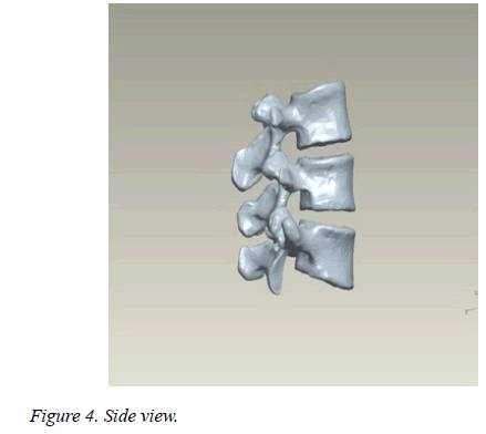 biomedres-Side-view