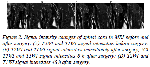 biomedres-Signal-intensity