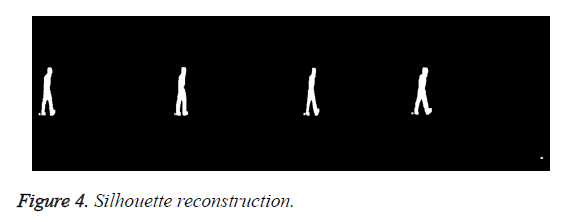 biomedres-Silhouette-reconstruction