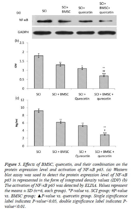 biomedres-Single-significance