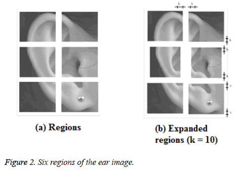 biomedres-Six-regions