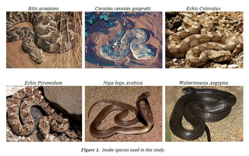 biomedres-Snake-species