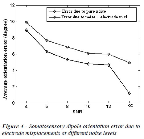 biomedres-Somatosensory-dipole-orientation-error