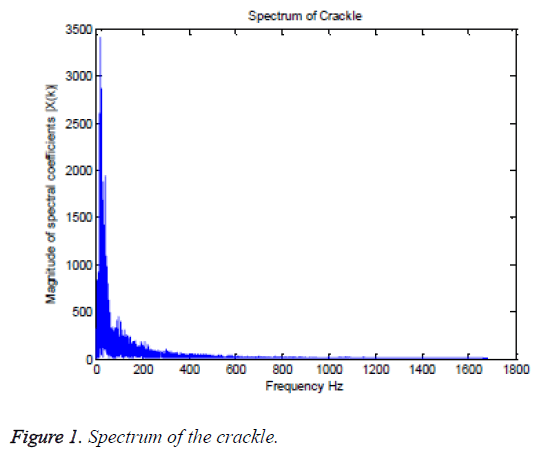 biomedres-Spectrum-crackle