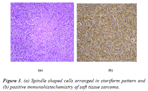 biomedres-Spindle-shaped