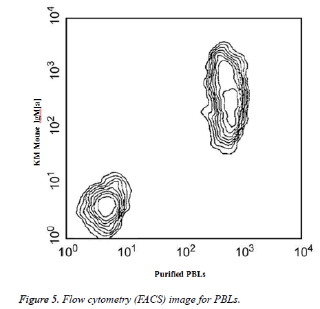 biomedres-Splenocyte-flow-cytometry