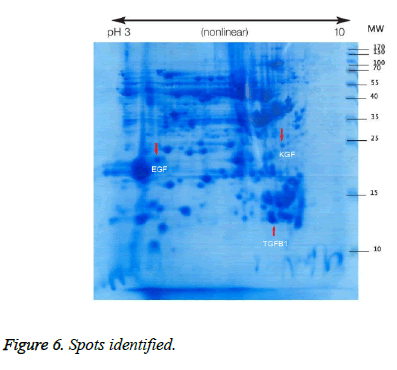 biomedres-Spots-identified