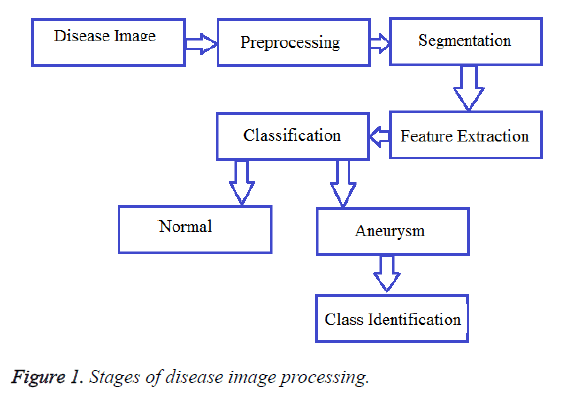 biomedres-Stages-disease-image