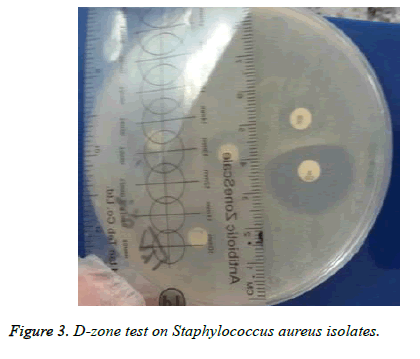 biomedres-Staphylococcus