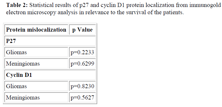 biomedres-Statistical-results-cyclin-protein-localization