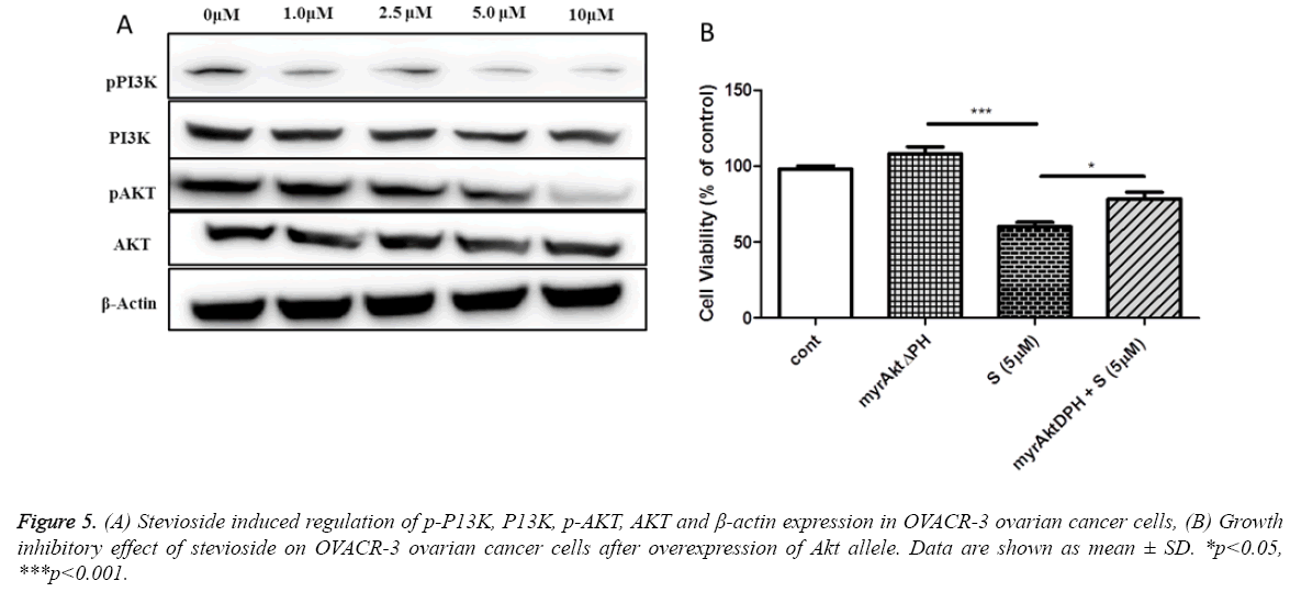 biomedres-Stevioside-induced-regulation