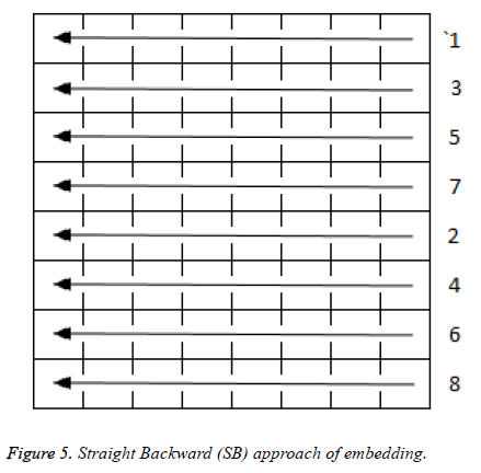 biomedres-Straight-Backward