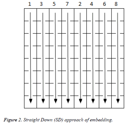 biomedres-Straight-Down