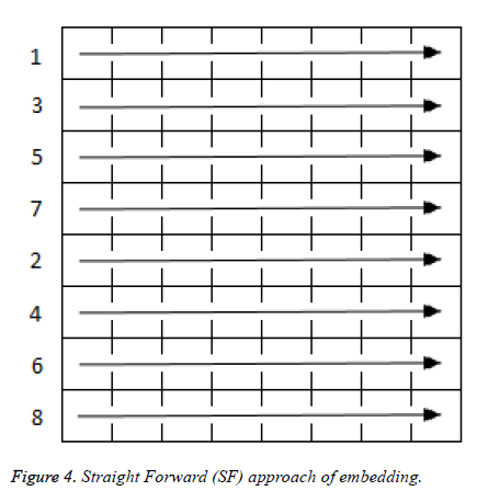 biomedres-Straight-Forward