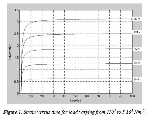 biomedres-Strain-load