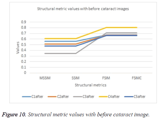 biomedres-Structural-metric-values