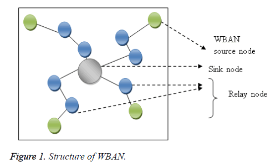 biomedres-Structure-WBAN