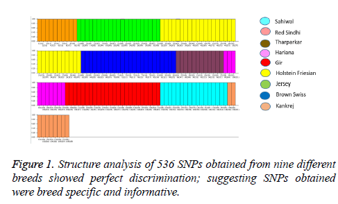 biomedres-Structure-analysis