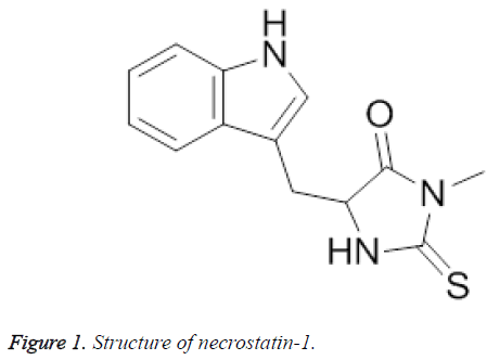 biomedres-Structure-necrostatin