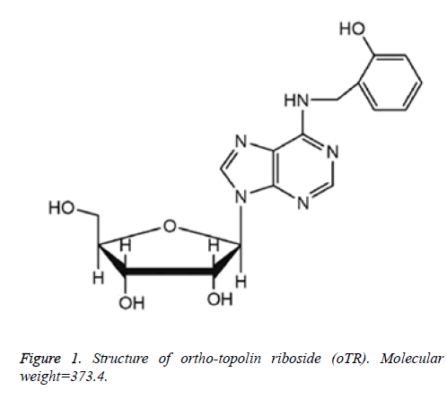 biomedres-Structure-ortho