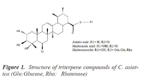 biomedres-Structure-triterpene-compounds