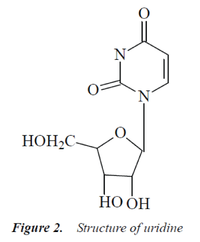 biomedres-Structure-uridine