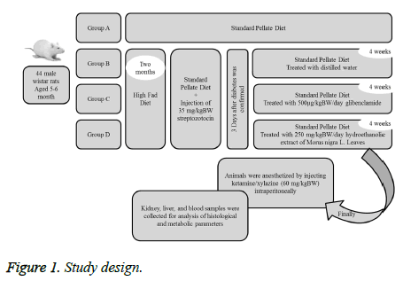 biomedres-Study-design