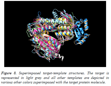 biomedres-Superimposed