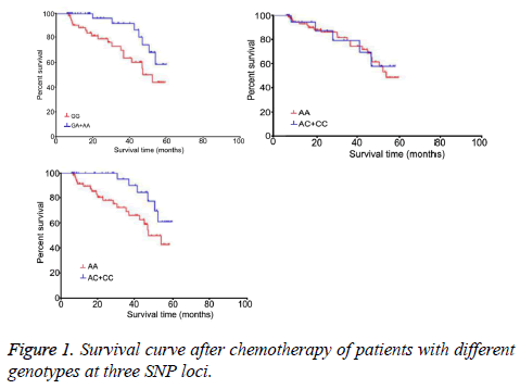 biomedres-Survival-curve