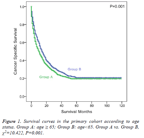 biomedres-Survival-curves