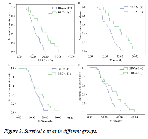 biomedres-Survival-curves-groups