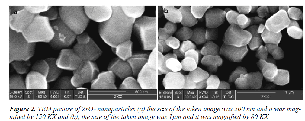 biomedres-TEM-picture