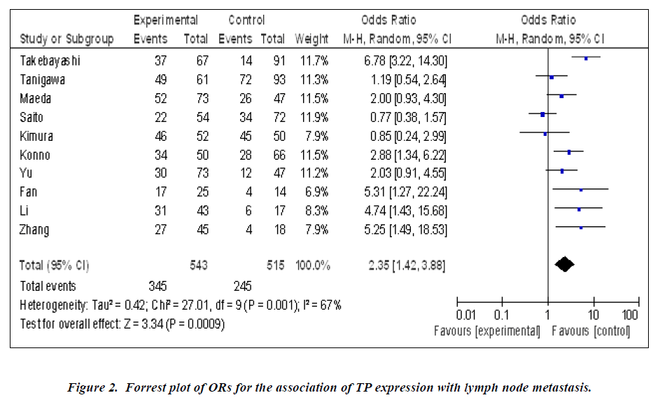 biomedres-TP-expression