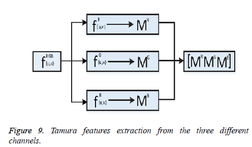 biomedres-Tamura-features