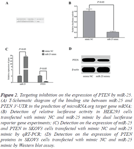 biomedres-Targeting-inhibition