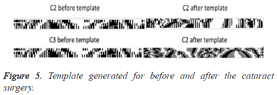 biomedres-Template-generated