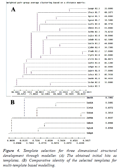 biomedres-Template-selection