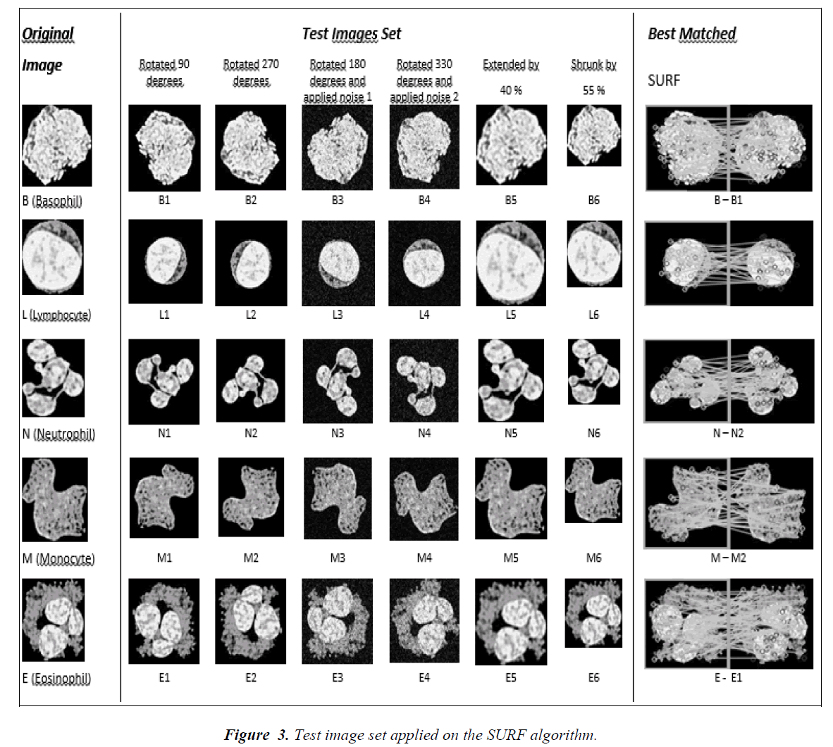 biomedres-Test-image