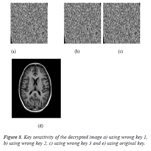 biomedres-Test-images