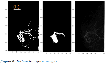 biomedres-Texture-transform