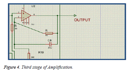 biomedres-Third-stage-Amplification