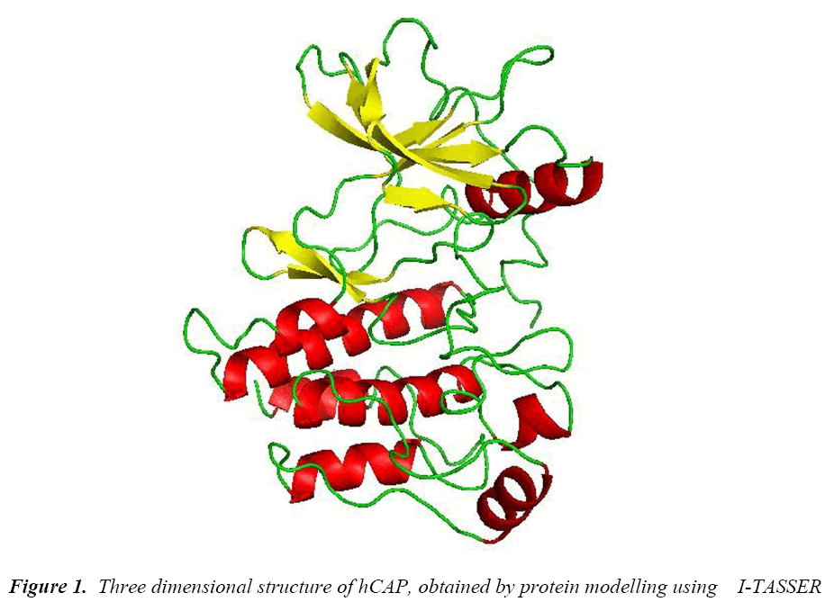 biomedres-Three-dimensional-structure