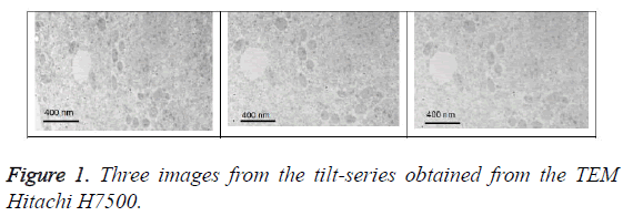 biomedres-Three-images