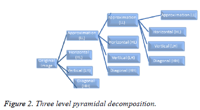 biomedres-Three-level