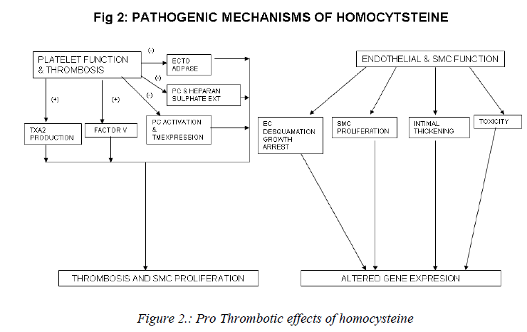 biomedres-Thrombotic-effects