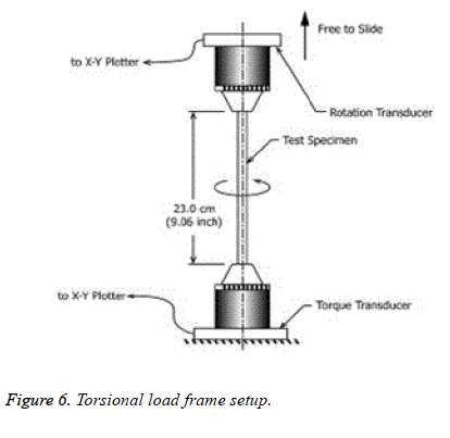 biomedres-Torsional