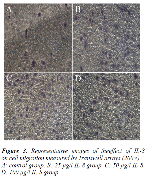 biomedres-Transwell-arrays